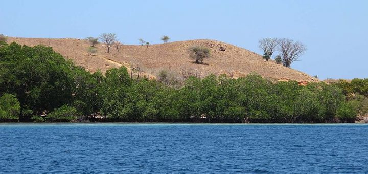 L'île de Rinca, Indonésie CC by sa Amelia Samulo